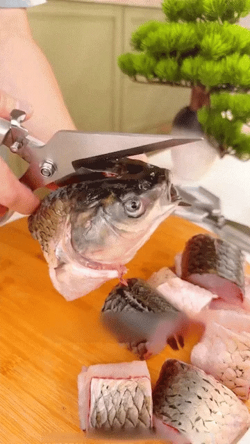 MultiSnip™ - Professional Kitchen Scissors